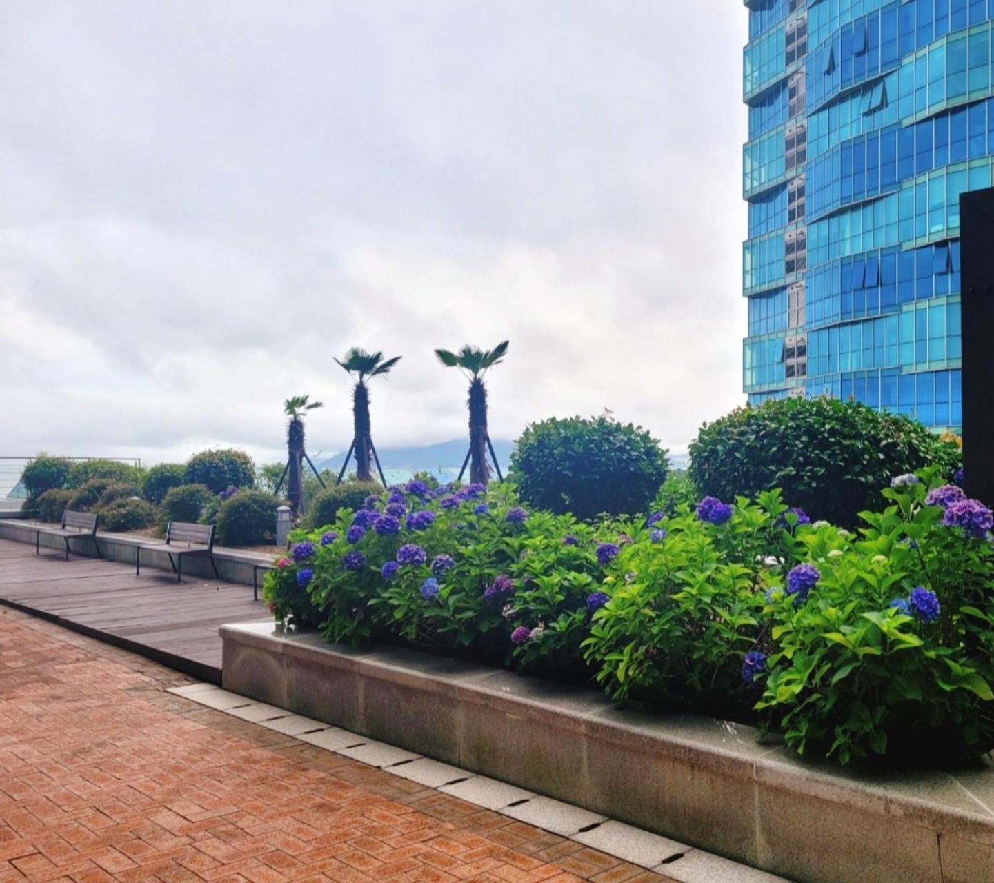 Pale De Cz Condo Busan Exteriör bild