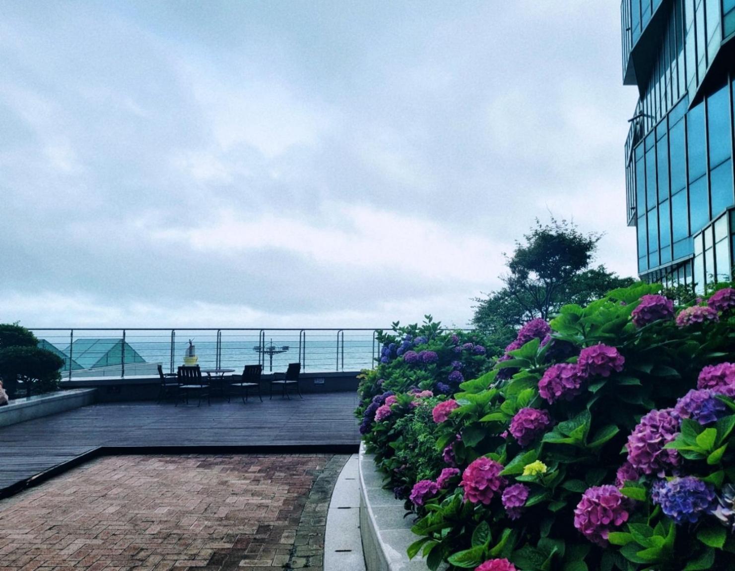 Pale De Cz Condo Busan Exteriör bild