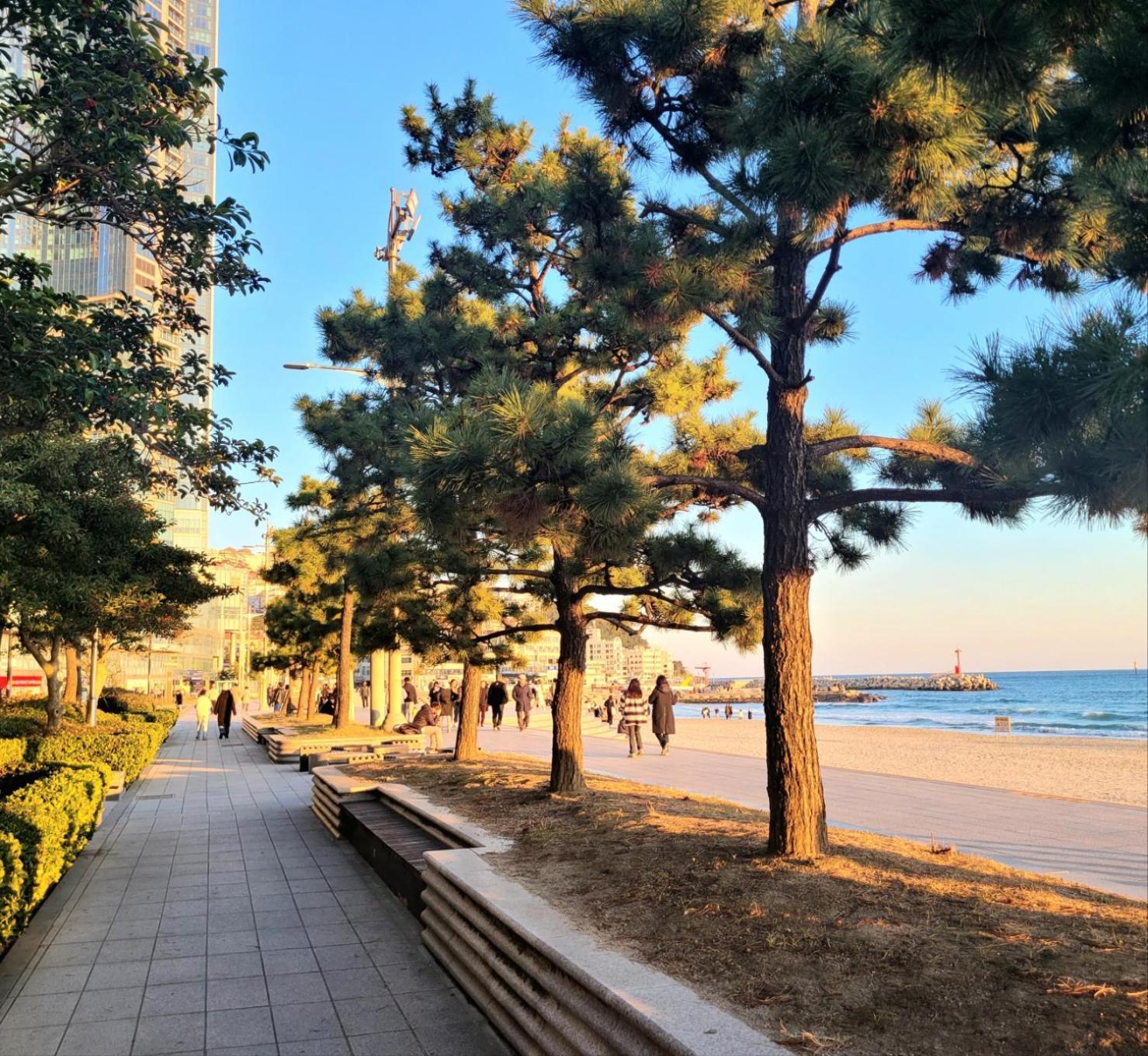 Pale De Cz Condo Busan Exteriör bild